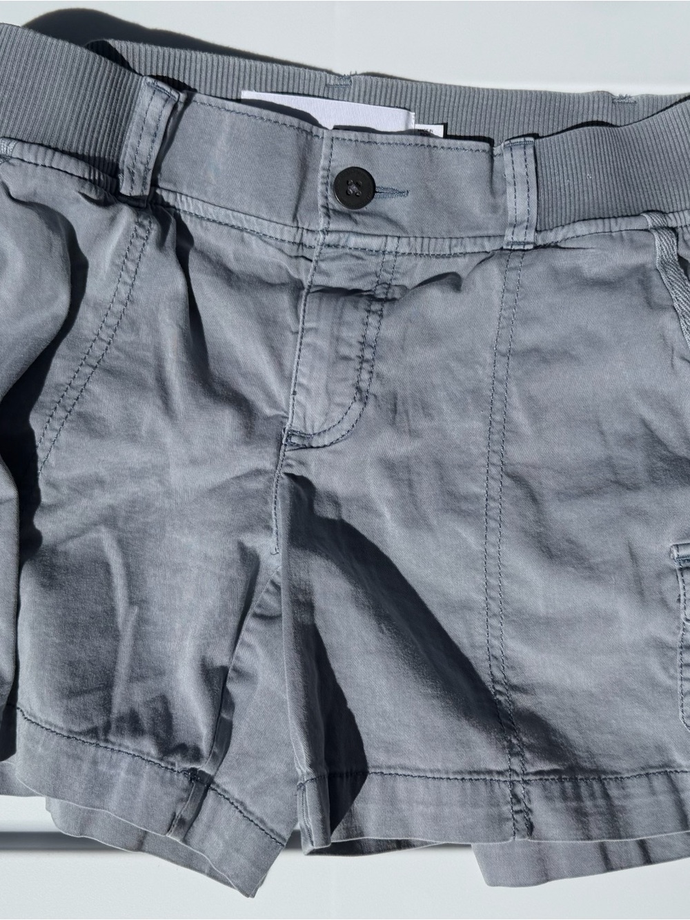 Sonoma Goods for life shorts 2